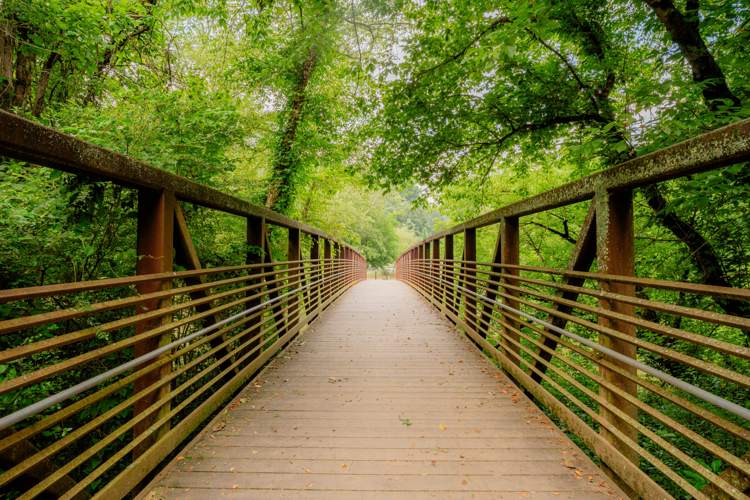 Scenic wooden bridge at Olde Rope Mill Park in Woodstock, Georgia, surrounded by forest and Little River views.